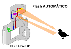 Flash automático