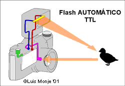 Flash TTL